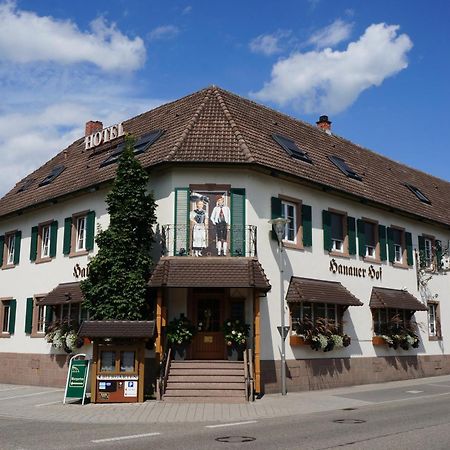 Hotel Hanauerhof 亚蓬威e尔 外观 照片